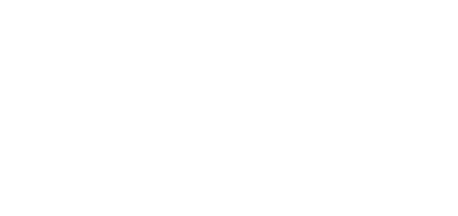 MetroFibre